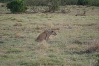 Tsavo Ost NP (19)