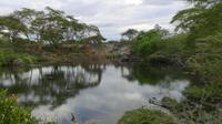 Tsavo West Mzima Spings