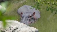 im Mara Bush Camp