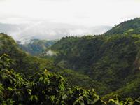 DSCN7069