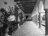 DSCN7225