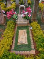 DSCN7285