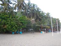 DSCN7475