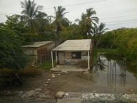 DSCN7545