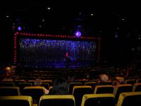 Musical: Priscilla Queen of the Desert an Bord der Norwegian Epic
