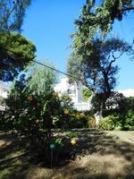 Botanischer Garten Monaco