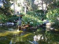 Teich im botanischen Garten von Monaco
