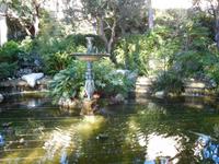 Teich im botanischen Garten von Monaco