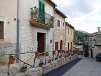 Blumen in Valldemossa