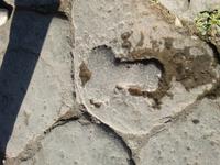 Ein Himweisschild zum Bordell