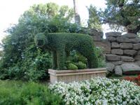 Romulus und Remus in Rom