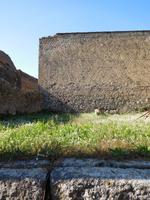 Blumen in Pompeji