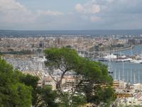 Der Blick auf Palma