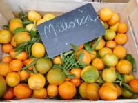 Fruchtiges Mallorca