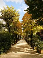 Herbst in der Toskana