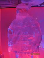 In der Eisbar