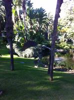Park in Monte Carlo