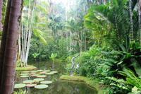 Singapur - Alter Botanischer Garten