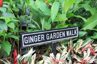 Singapur - Alter Botanischer Garten