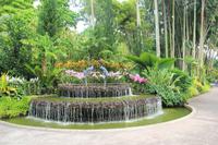 Singapur - Alter Botanischer Garten
