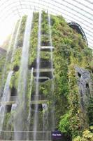 Singapur - Gardens by the Bay