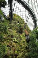 Singapur - Gardens by the Bay