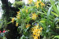 Singapur - Gardens by the Bay