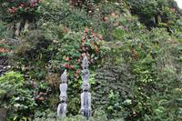 Singapur - Gardens by the Bay