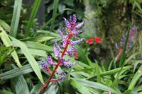 Singapur - Gardens by the Bay