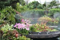 Singapur - Gardens by the Bay