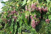 Singapur - Gardens by the Bay