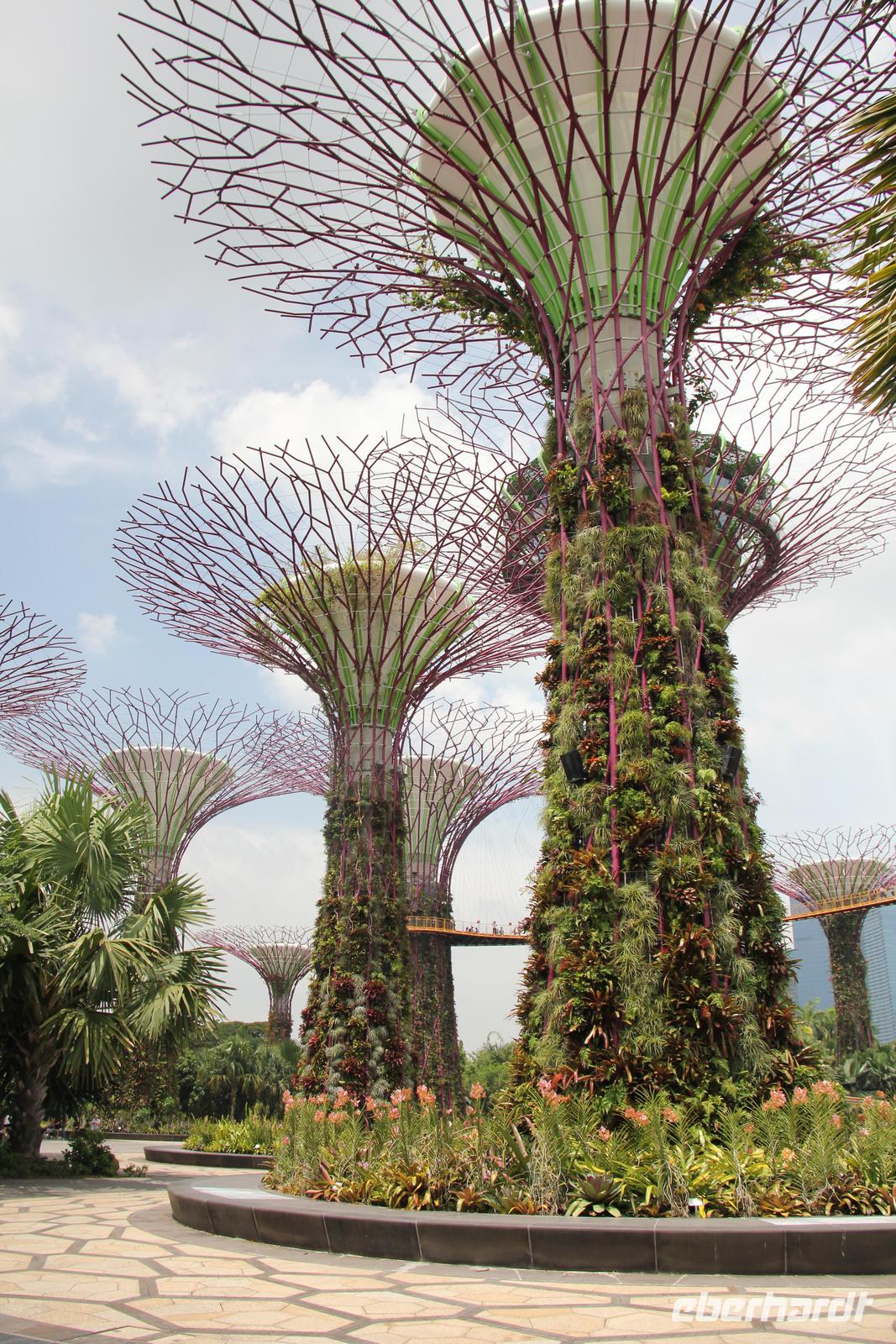 Singapur - Gardens by the Bay