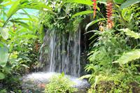 Kuala Lumpur - Schmetterlingsgarten