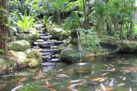 Kuala Lumpur - Vogelpark