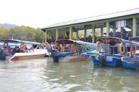 Langkawi - Bootsfahrt in den Mangroven