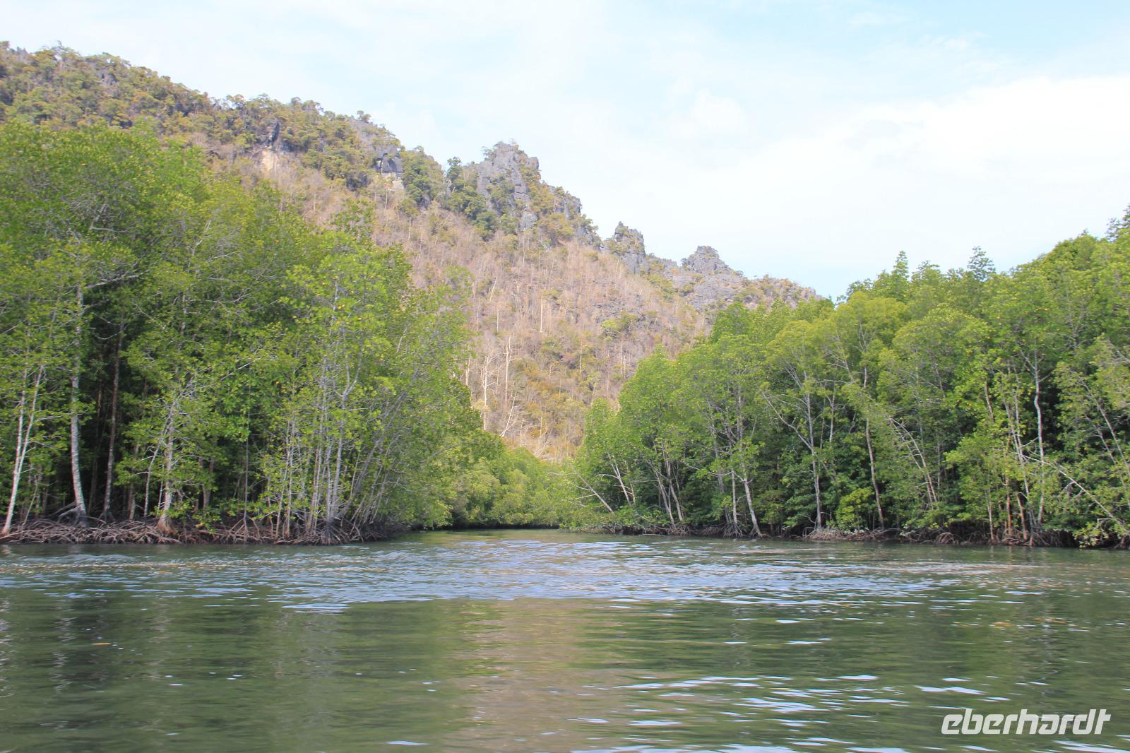 Langkawi - Bootsfahrt in den Mangroven
