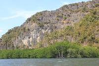 Langkawi - Bootsfahrt in den Mangroven