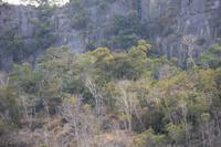 Langkawi - Bootsfahrt in den Mangroven