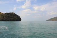 Langkawi - Bootsfahrt in den Mangroven