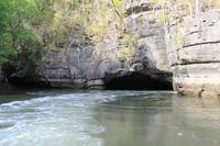 Langkawi - Bootsfahrt in den Mangroven