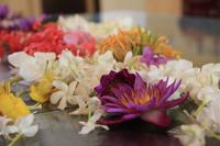 Sri Lanka - Zahntempel in Kandy