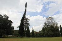 Sri Lanka - Botanischer Garten in Kandy