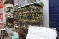 Mumbai - Crawford Market