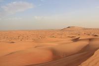 Wüstensafari in den arabischen Emiraten