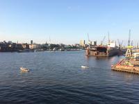 Ausfahrt aus dem Hamburger Hamburg