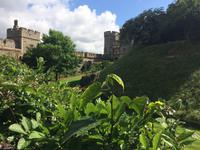 Gartenanlage im Schloss Windsor