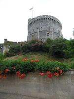 Tagesausflug Windsor