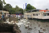 Stadtrundgang in Windsor