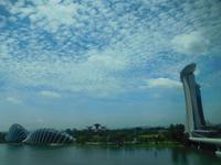 Gardens by the Bay und Marina Bay Sands Hotel