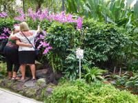 Selfie mal anders in Singapur